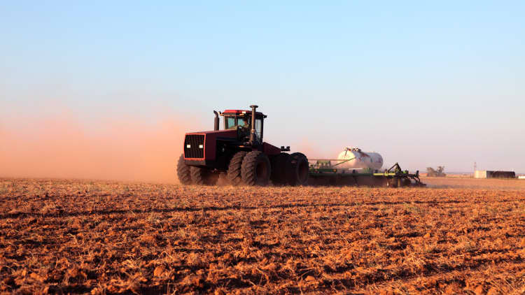 ¿Qué significa la crisis de los fertilizantes para los precios de los alimentos?