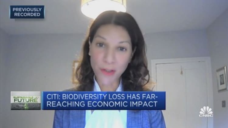Climate change is a key driver to biodiversity loss, expert says