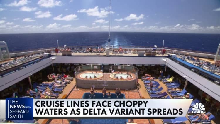 Cruise lines face rough seas during pandemic