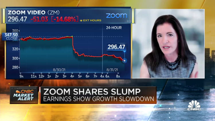 Headwinds in mass markets: Zoom CFO Kelly Steckelberg on earnings