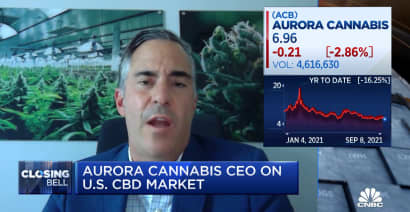 You'll see medical marijuana first at the federal level in the U.S., says Aurora Cannabis CEO