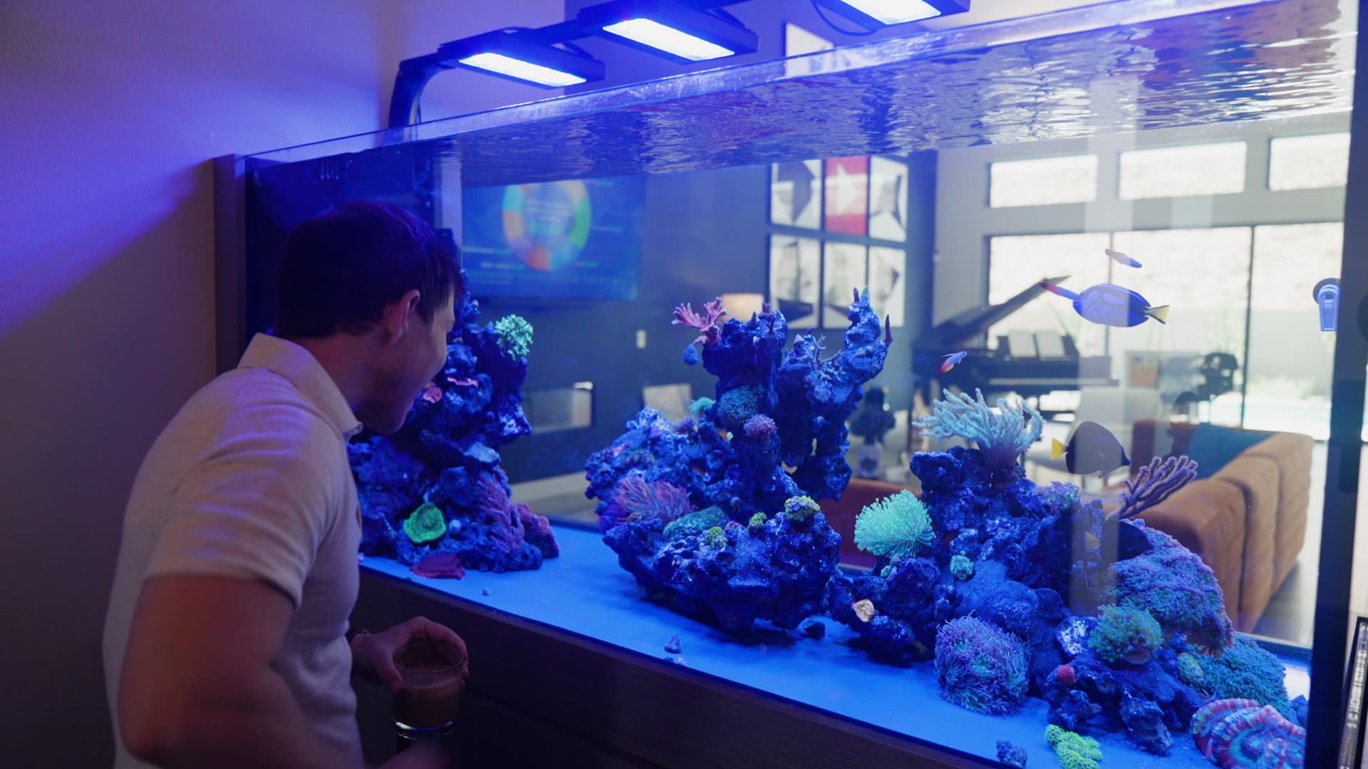 Graham Stephan has spent $45,000 building out his dream aquarium.