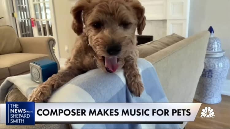 Can music help pets get over anxiety?