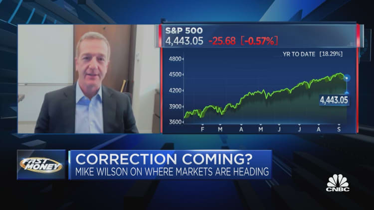 A correction is coming, says Morgan Stanley's Mike Wilson