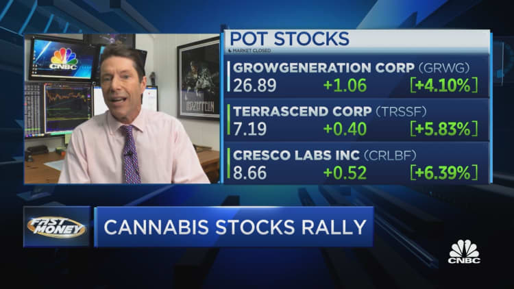 Cannabis stocks rally on new legislation to protect banks in stocks where it's legal