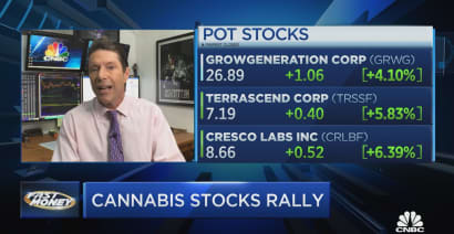 Cannabis stocks rally on new legislation to protect banks in stocks where it's legal