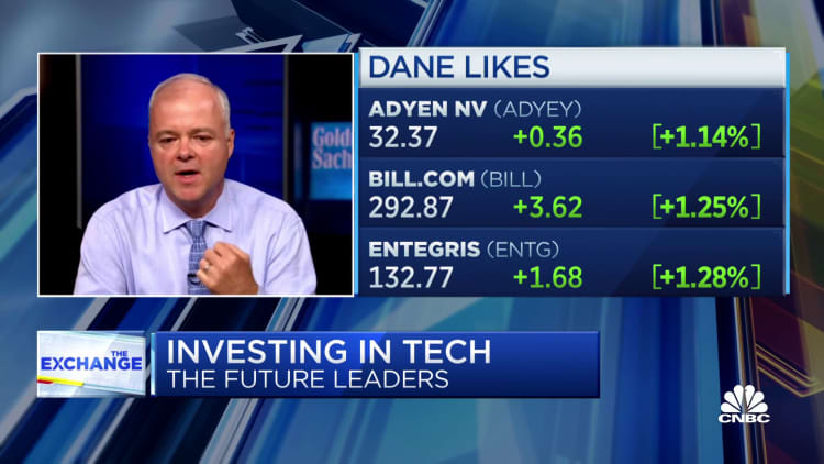 Goldman's Brook Dane on the company's investment in future tech leaders