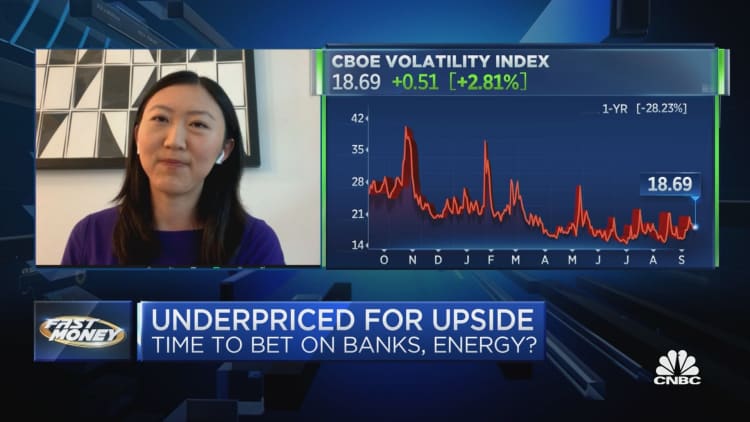 Credit Suisse's Mandy Xu lays out sectors you should bet on