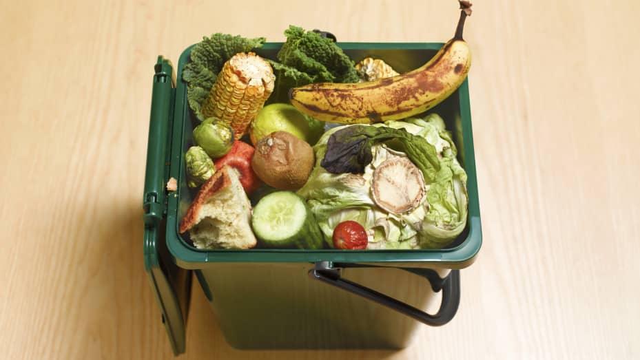 Fruits and vegetables thrown into a waste bin