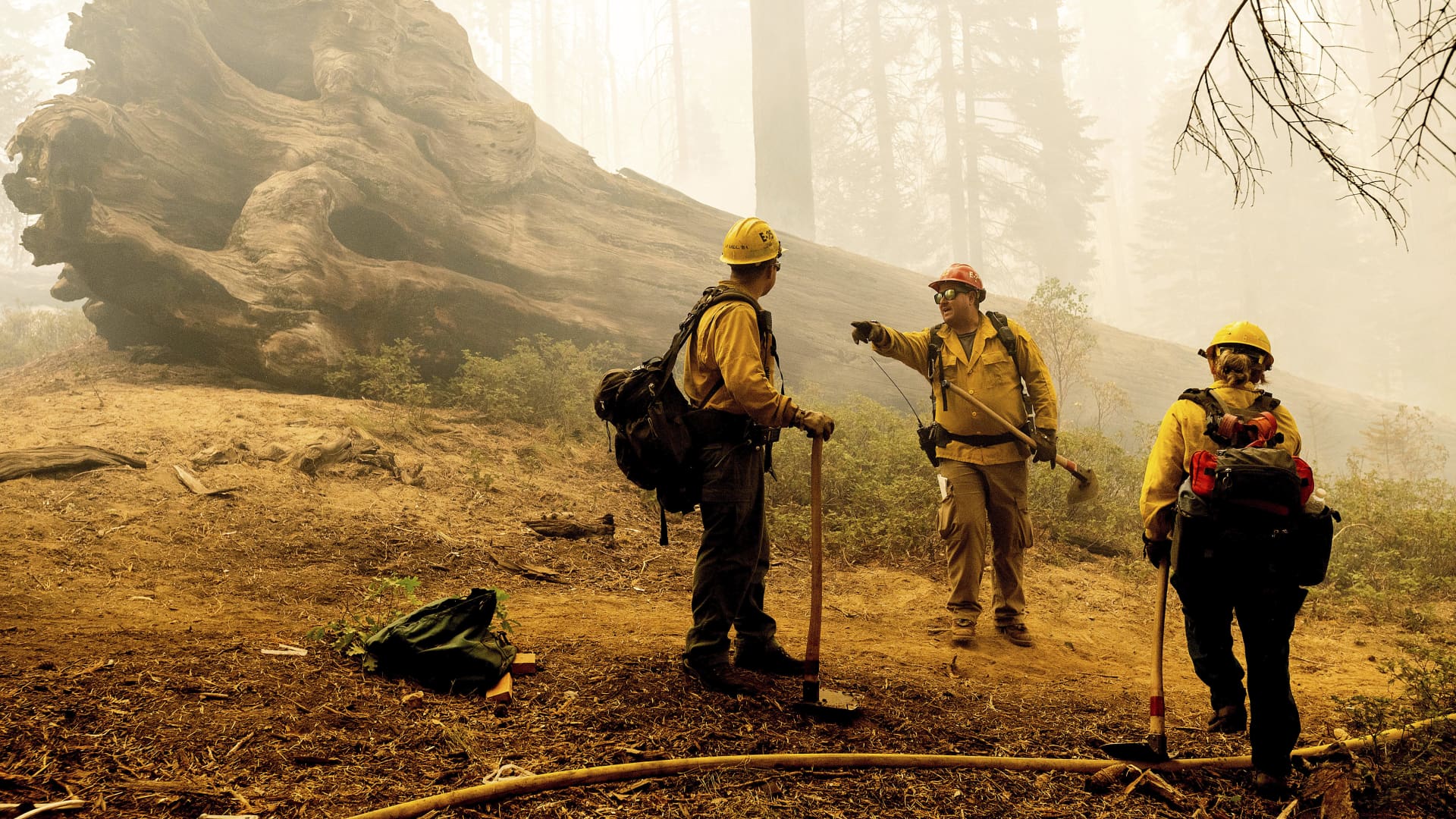 Firefighters battle the Windy Fire as it burns in the Trail of 100 Giants grove of Sequoia National Forest on Sept. 19, 2021.