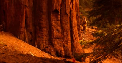 'The Four Guardsmen' trees unharmed by Sequoia National Park fire