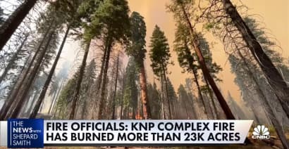 Fire crews rush to save giant sequoia trees