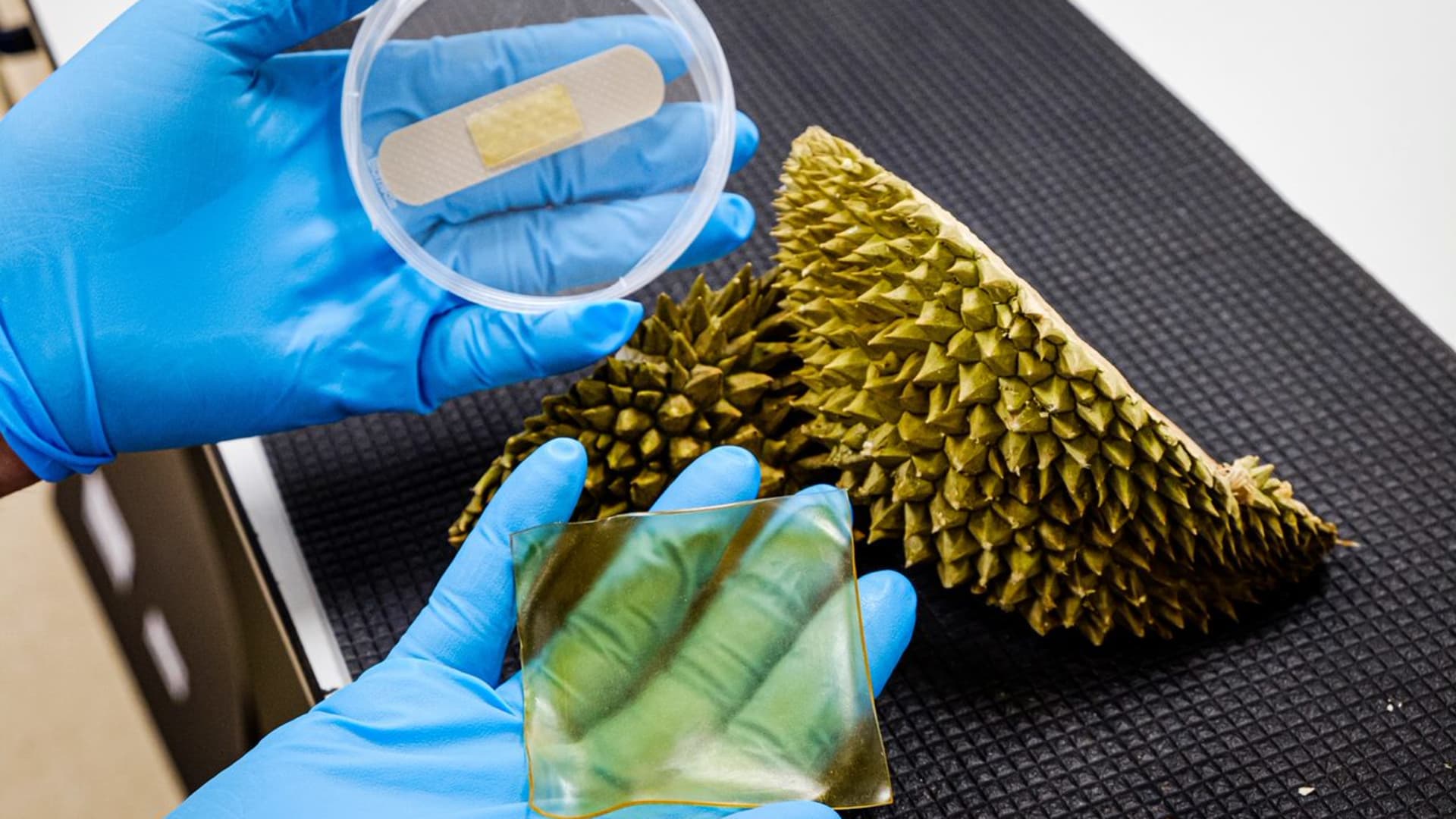 Scientists at Nanyang Technological University developed a hydrogel bandage made of upcycled durian husks.