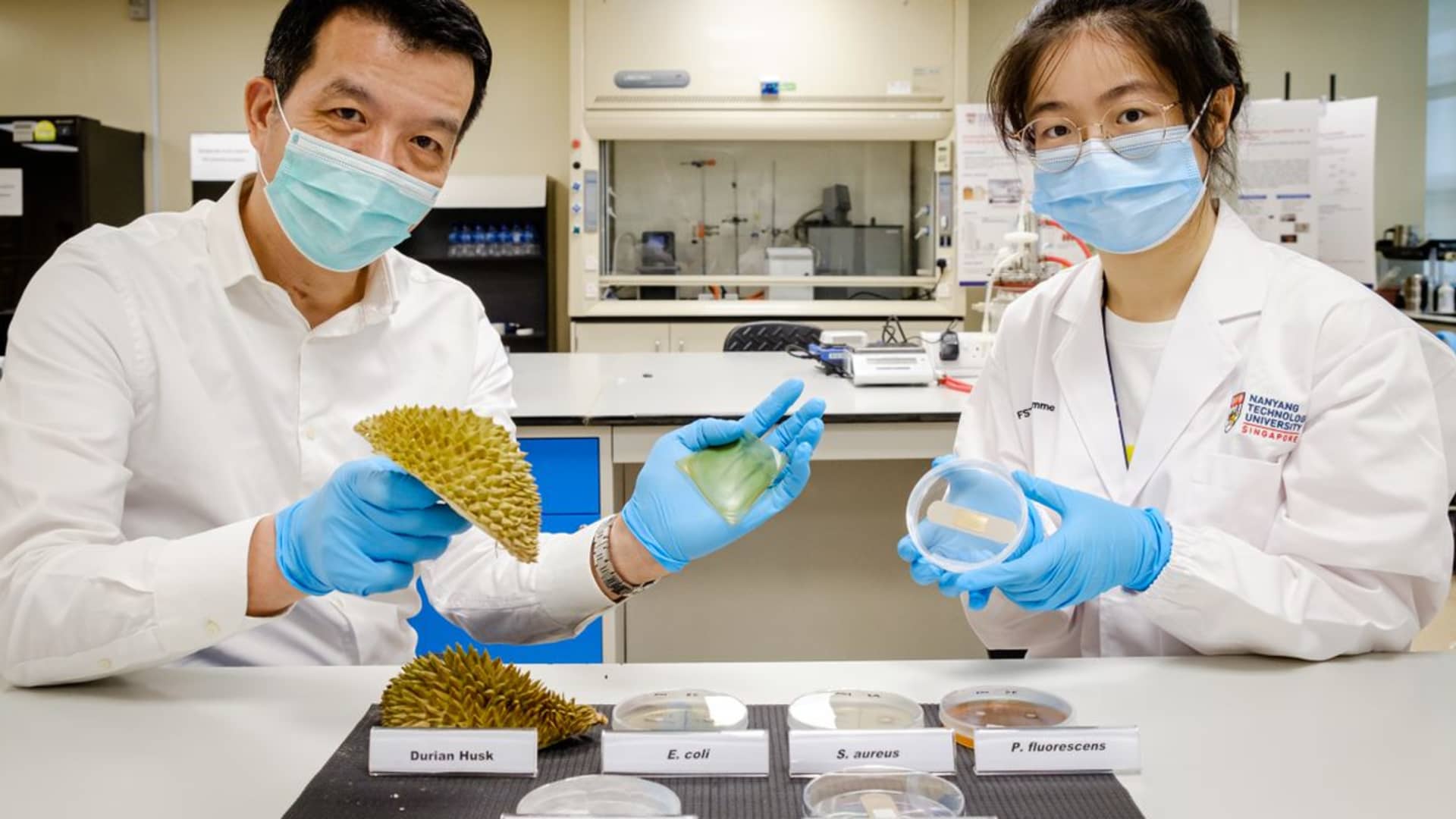 Professor William Chen and a member of his team experiment on durian husks.