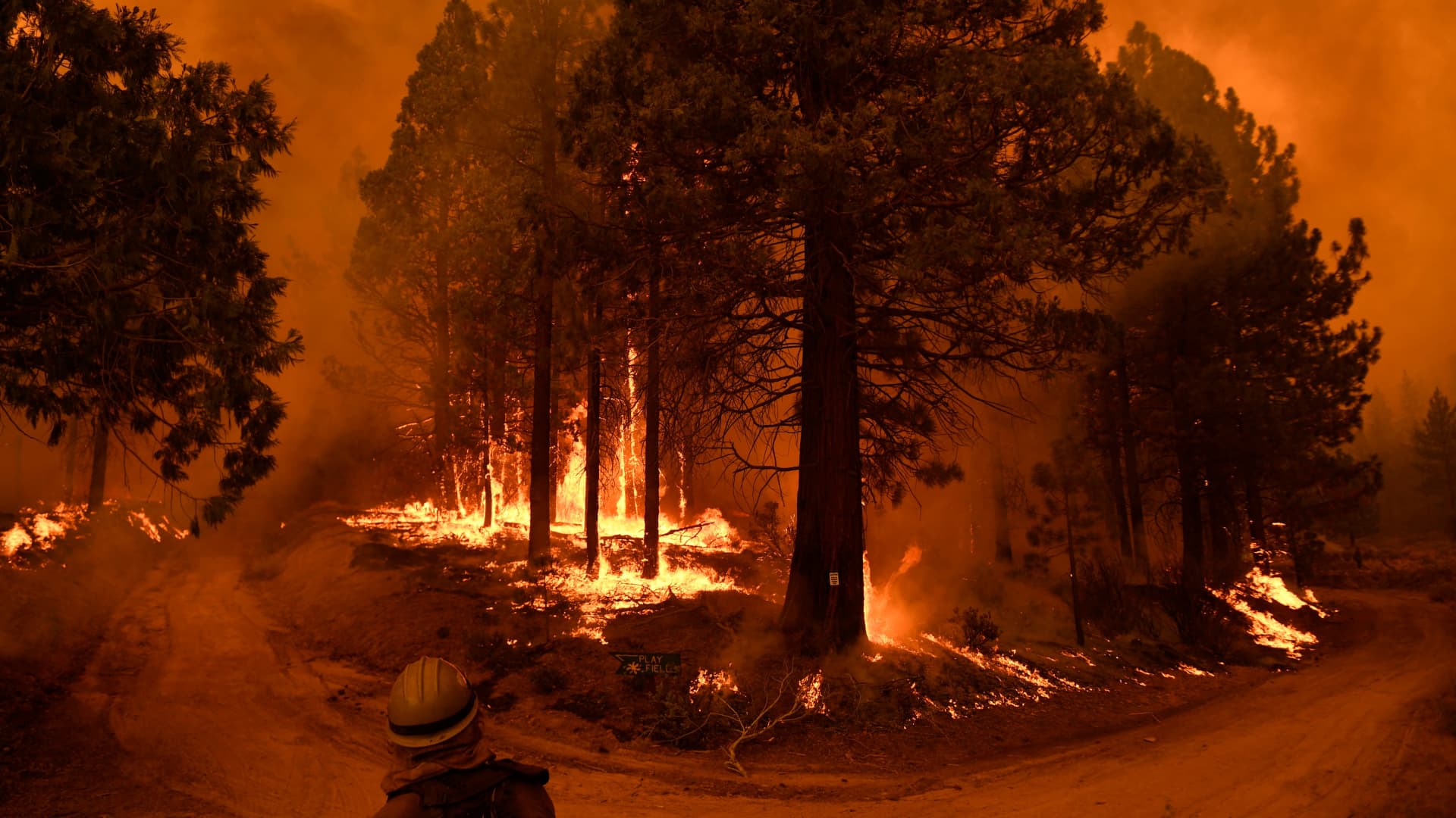 A firefighter watches flame and smoke rise into the air as trees burn during the Windy Fire in the Sequoia National Forest near Johnsondale, California, on Sept. 22, 2021.