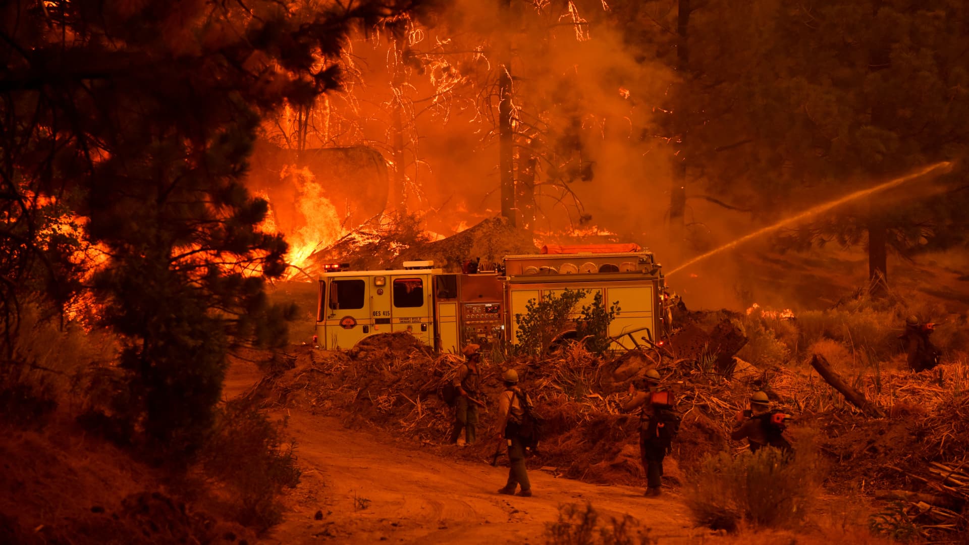 Firefighters work to control the Windy Fire as trees burn in the Sequoia National Forest near Johnsondale, California, on Sept. 22, 2021.