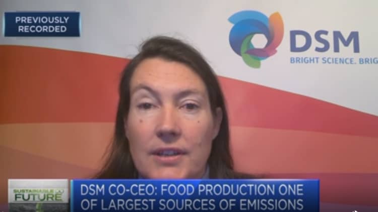 More than just pledges: Co-CEO of DSM discusses plans to improve the food system