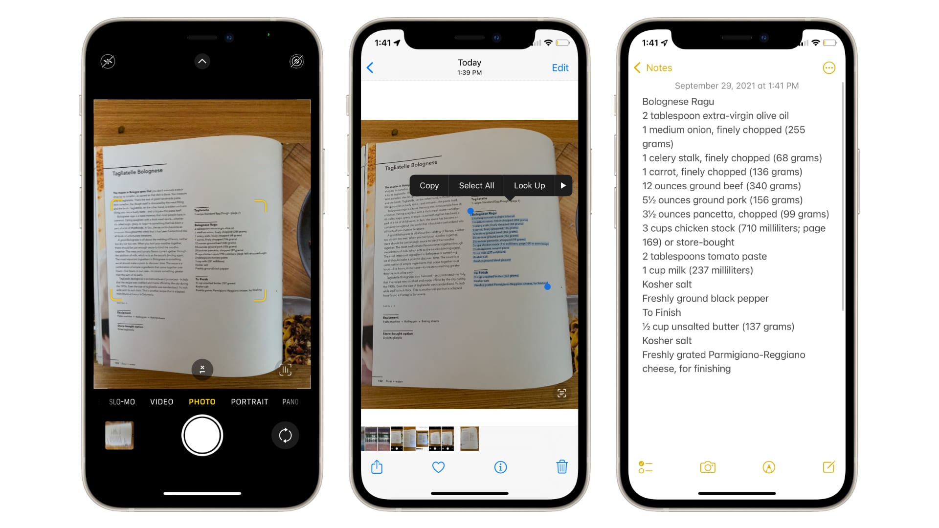 Copy-paste text from photos in iOS 15