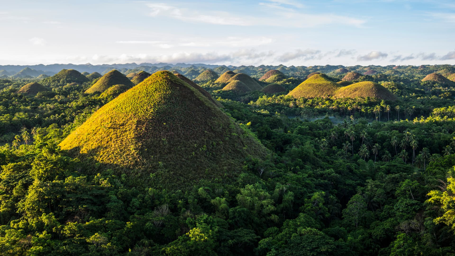 Bohol's Chocolate Hills are named after the browning that occurs when the grass dries during the first half of the year.