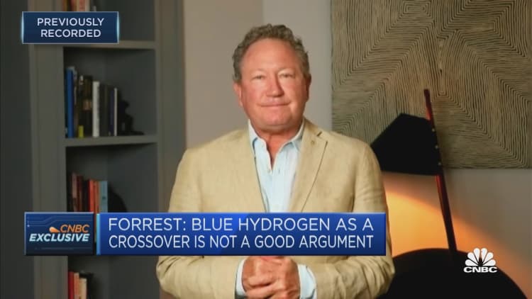To stop global warming, green hydrogen should be used, Fortescue chairman says