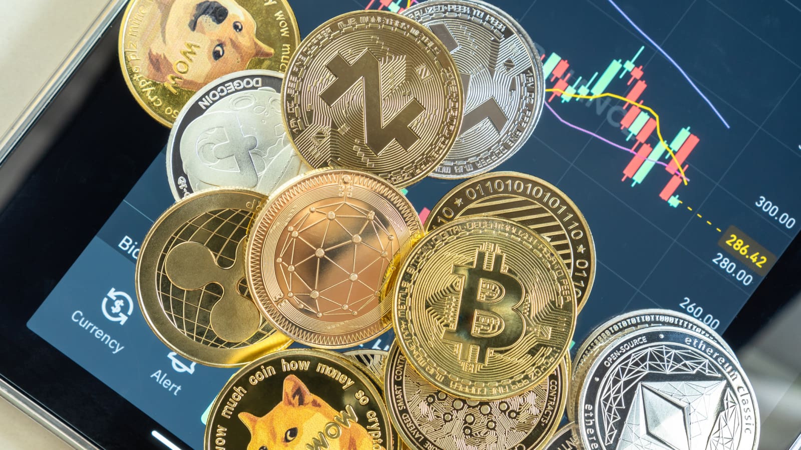 Platform coins crypto bitcoin investors list