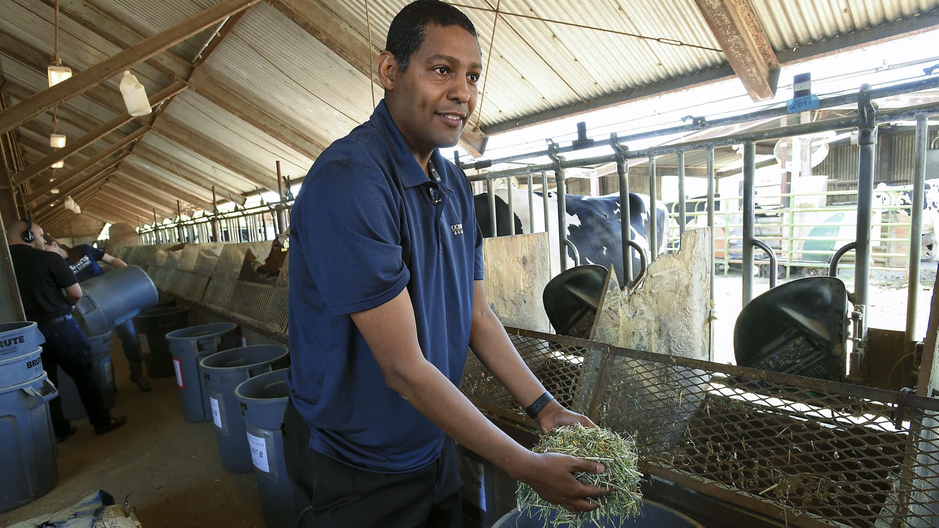Sustainable Agriculture Professor Ermias Kebreab, Ph.D. holds a handful of cattle feed with seaweed at the UC Davis Dairy Teaching and Research Facility in Davis on Thursday, May 24, 2018.