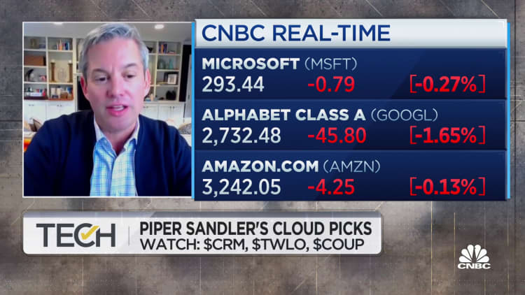 'Great opportunity in the long tail of cloud software,' Piper Sandler analyst says