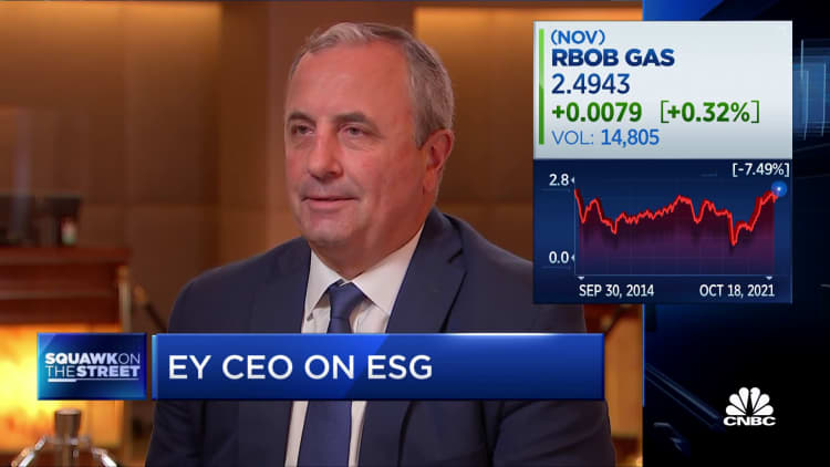 ESG has to be built into corporate strategy: EY Global CEO Di Sibio