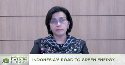 Indonesia's finance minister on helping coal firms find sustainable opportunities