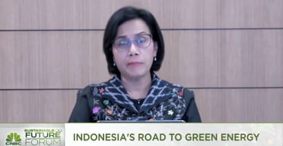 Indonesia's finance minister on helping coal firms find sustainable opportunities