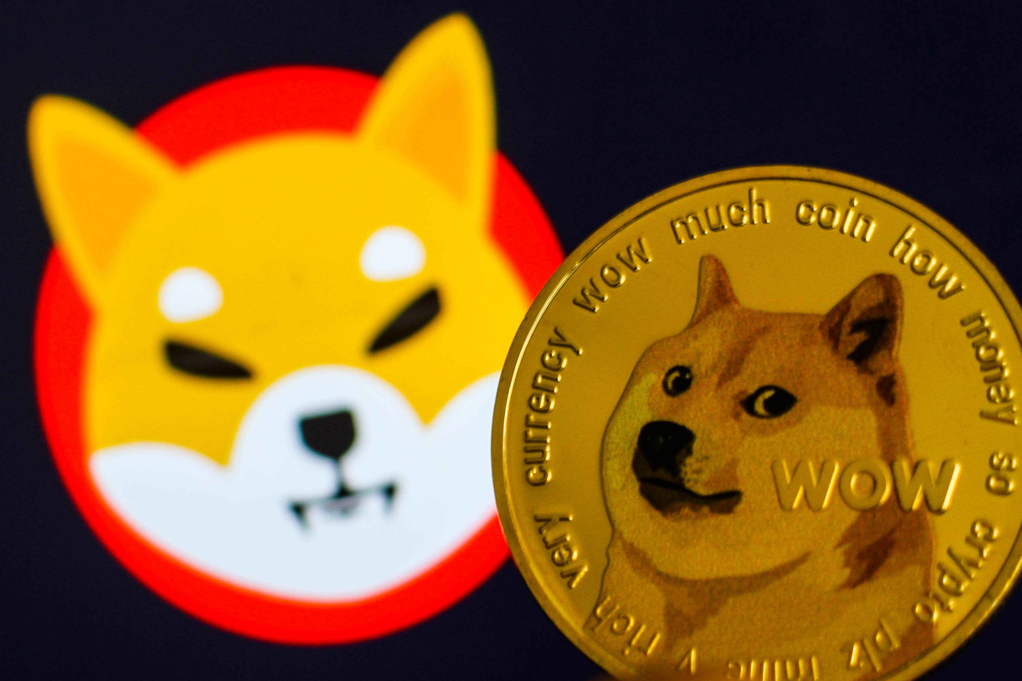 Meme token&#39; shiba inu hits record high, closing in on dogecoin