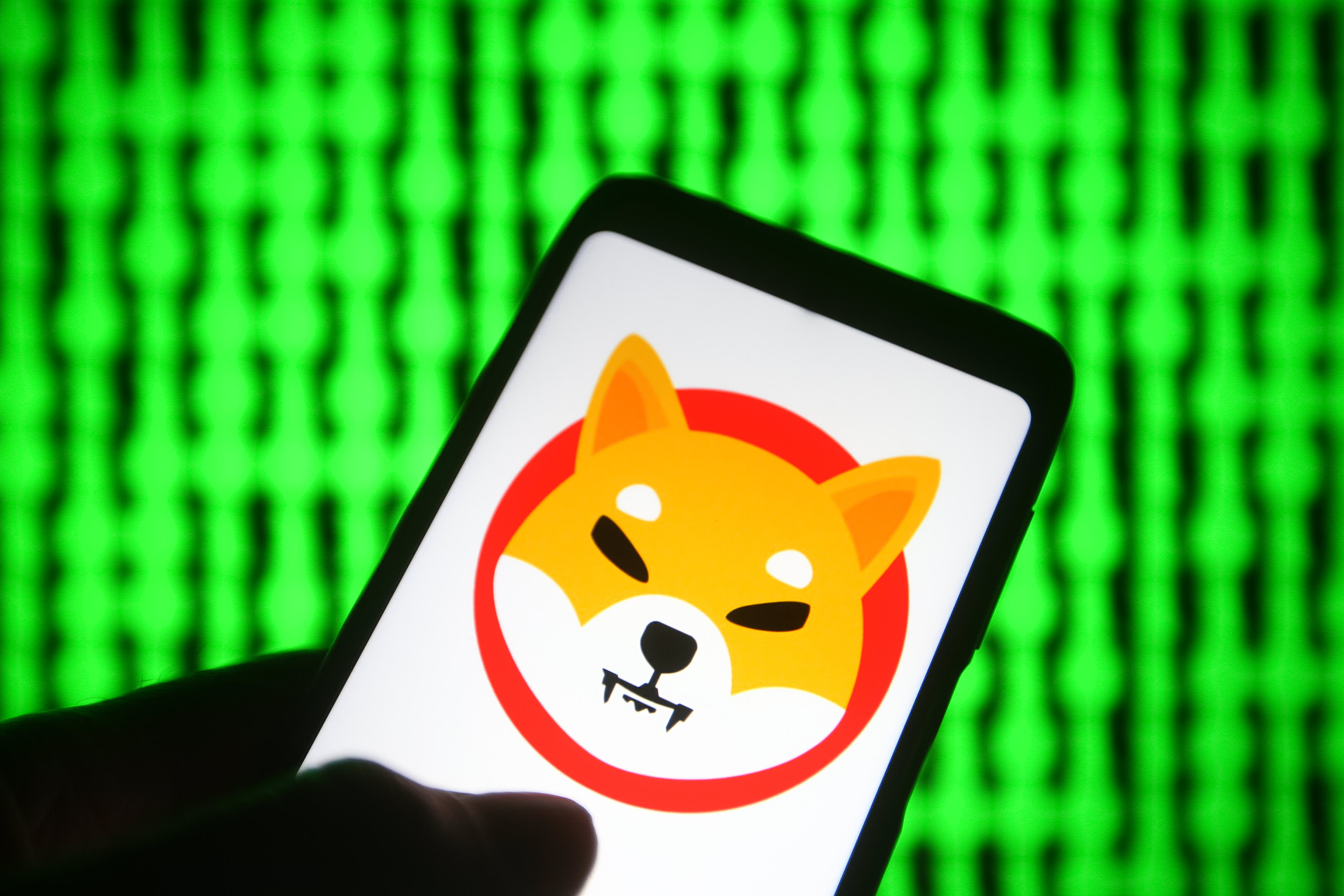 Dogecoin killer' shiba inu is up–here's what to know before investing