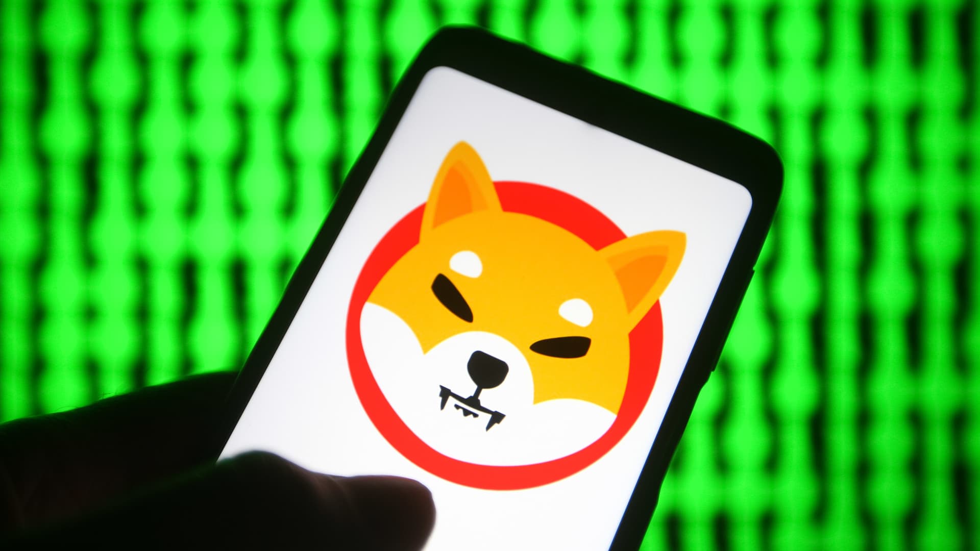 Shiba inu is up over 100% in the last 7 days—here's what to know before investing