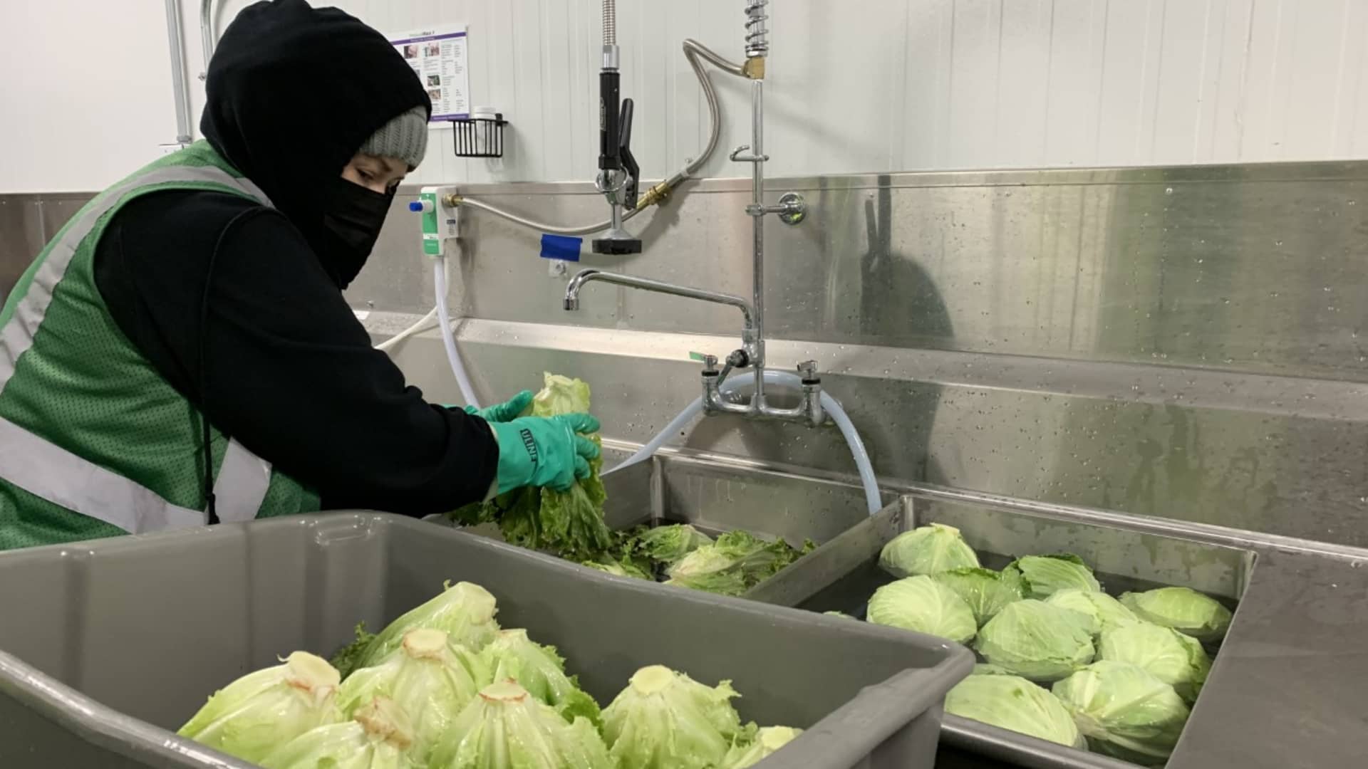 Employees soak lettuce and comb through clamshells of berries at Kroger's sheds to make sure they are fresh and high-quality.