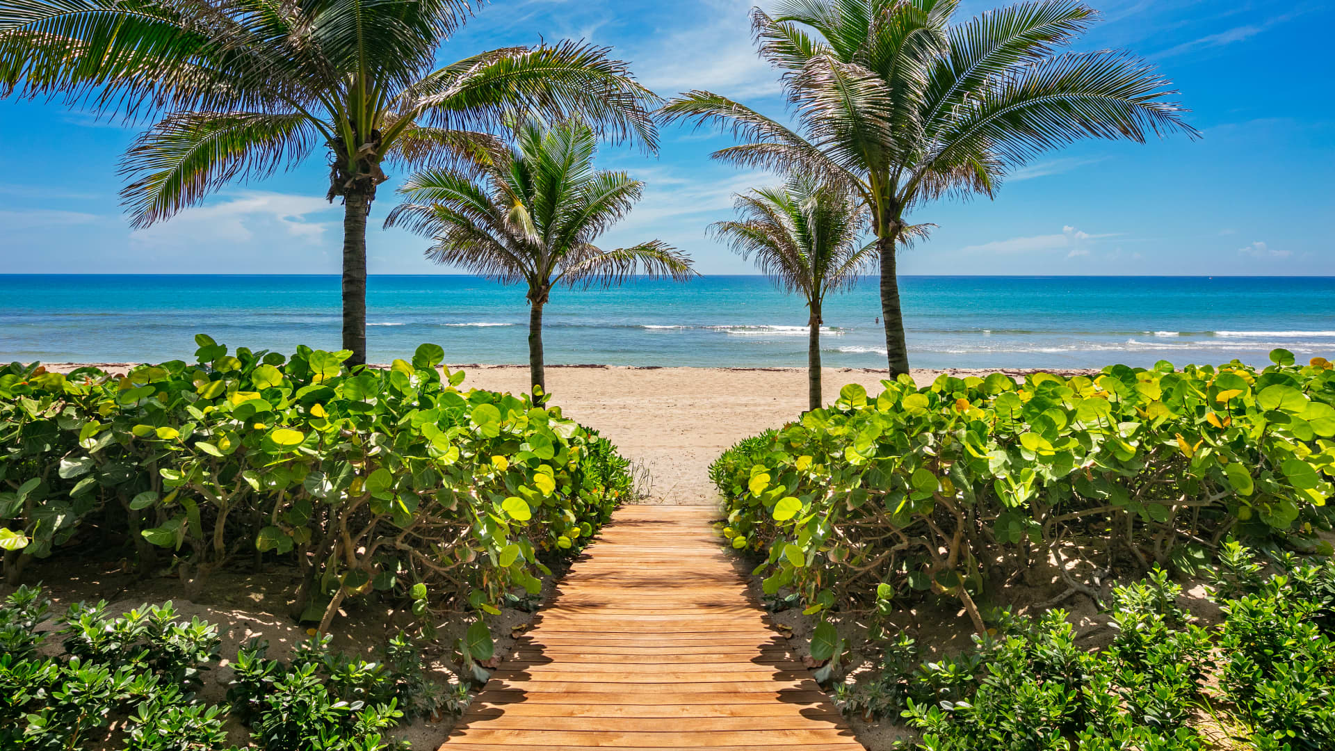 Private path to the beach.