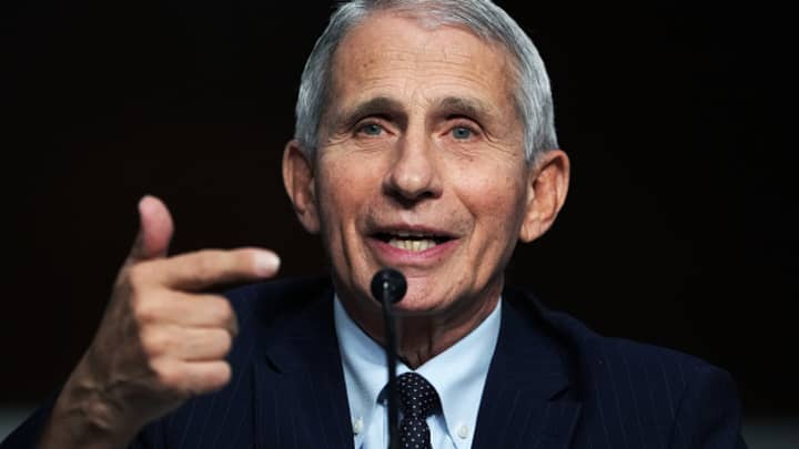 Dr. Anthony Fauci, director of the National Institute of Allergy and Infectious Diseases, testifies during the Senate Health, Education, Labor and Pensions Committee hearing titled Next Steps: The Road Ahead for the COVID-19 Response, in Dirksen Building on Thursday, November 4, 2021.