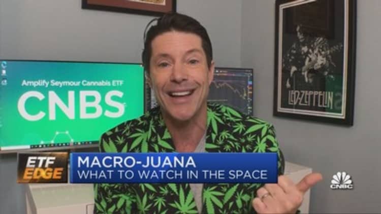 Cannabis stocks bounce with legalization in focus — What Tim Seymour's watching
