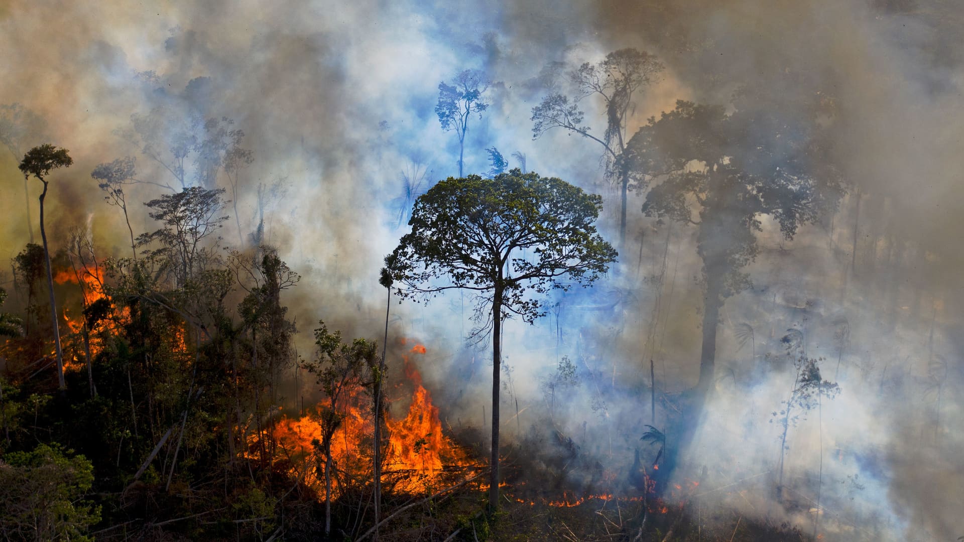 Deforestation in Brazil's  rainforest hits 15-year high