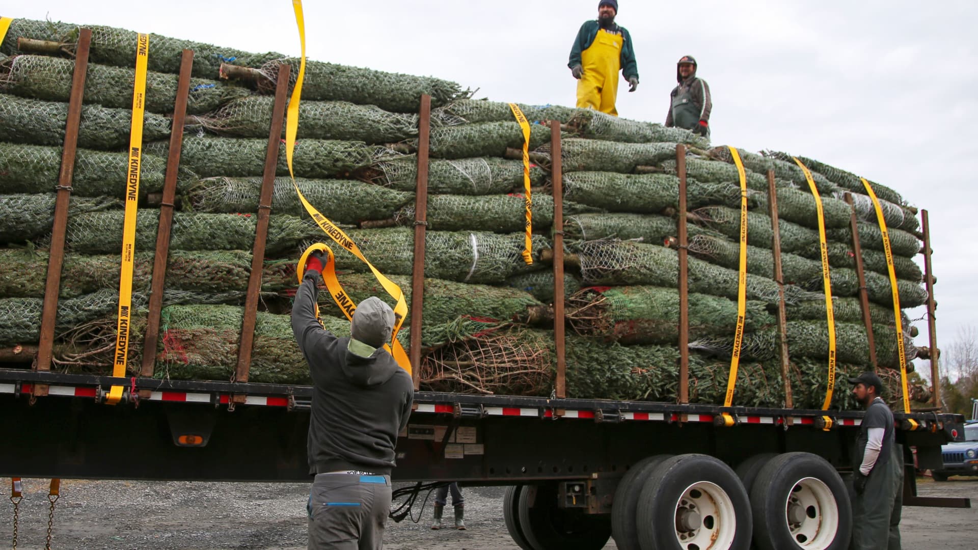 Christmas trees loaded onto a truck for shipping at Downey Tree Farm and Nursery in Hatley, Quebec, Canada November 12, 2021.