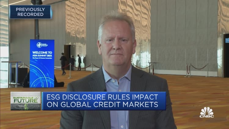 It's still 'difficult' to get transparency around ESG disclosures: Fitch Ratings