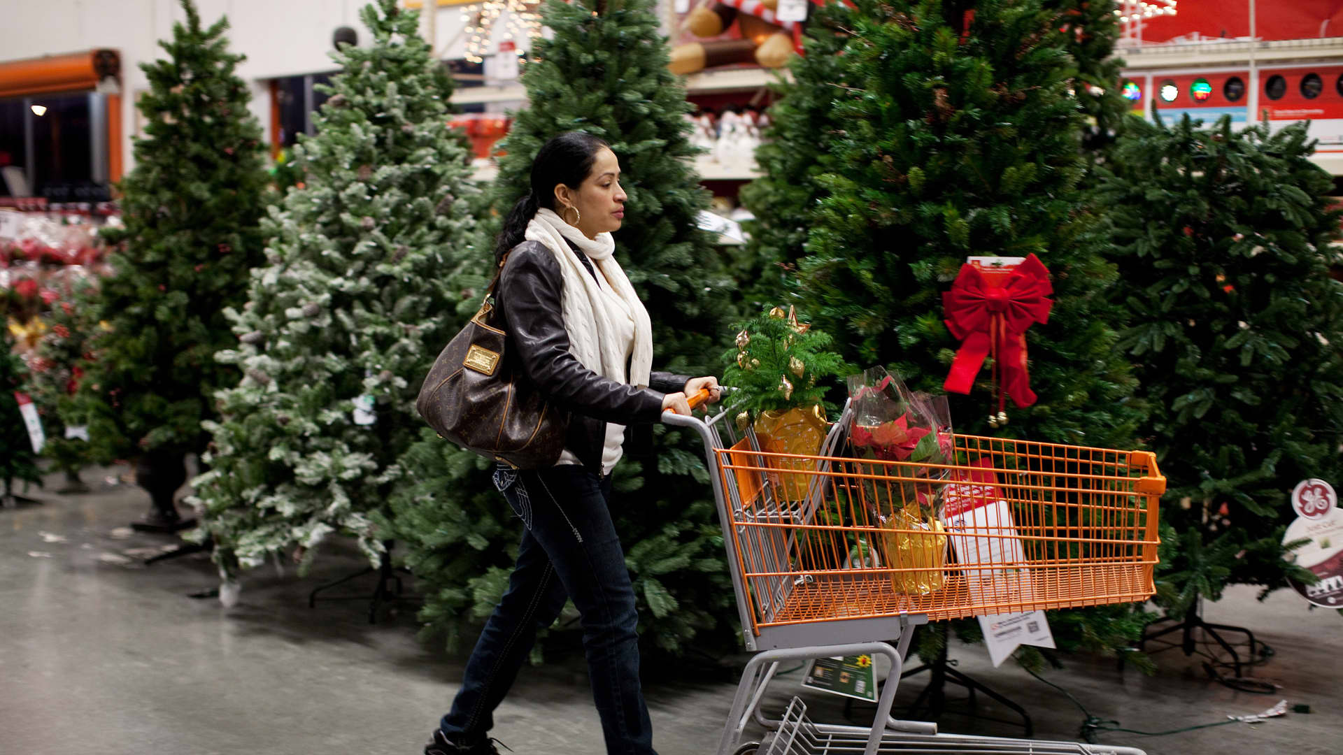 A shopper pushes a cart past a display of artificial Christmas trees at a Home Depot Inc. store in Newark, New Jersey, U.S., on Saturday, Dec. 10, 2011.