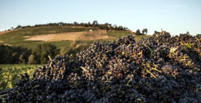 Wine drinkers beware: Supply chain problems hit this year's Beaujolais Nouveau