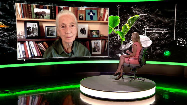 Jane Goodall: 'We're doing too little, but it's not too late'