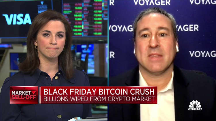 Crypto sell-off is a 'knee-jerk reaction,' Voyager Digital's Erlich says