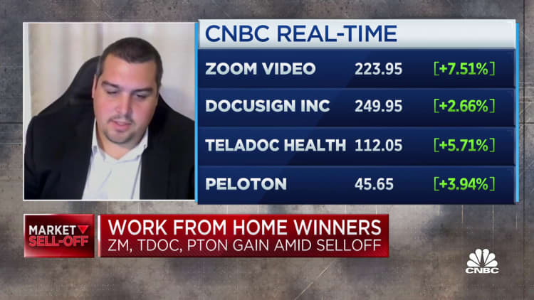 Work-from-home stocks rise amid broader sell-off