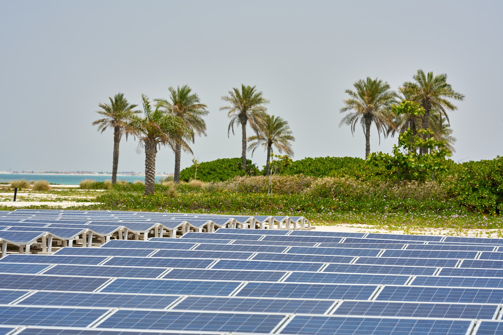 برنامه کوچک عربی در حوزه انرژی های تجدیدپذیر  