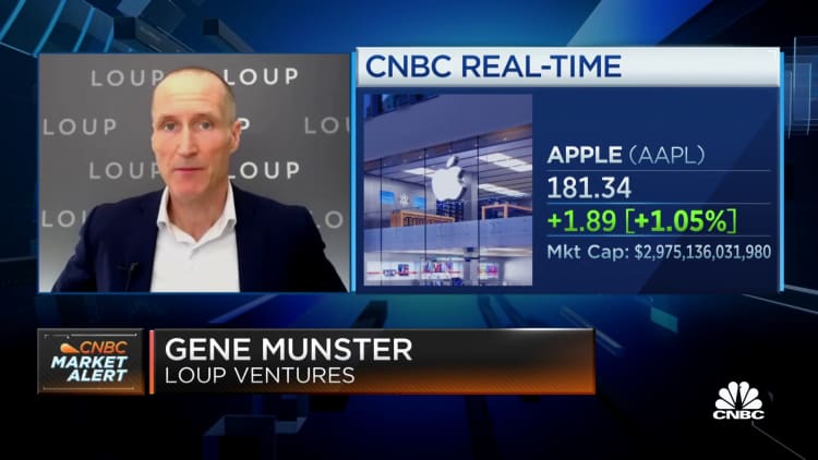 Watch CNBC's full interview with Loup Ventures Gene Munster
