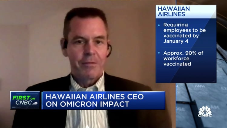 We're really pleased with the pace of the recovery, particularly on the domestic side: Hawaiian Airlines CEO