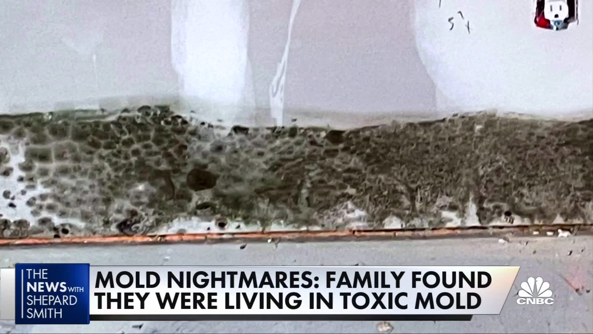 Is Black Mold From Water Damage Making You Sick
