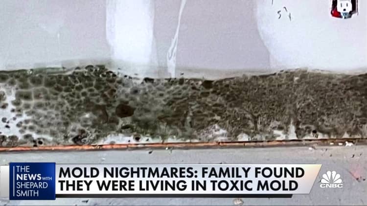 Toxic mold devastates family, causes myriad health problems